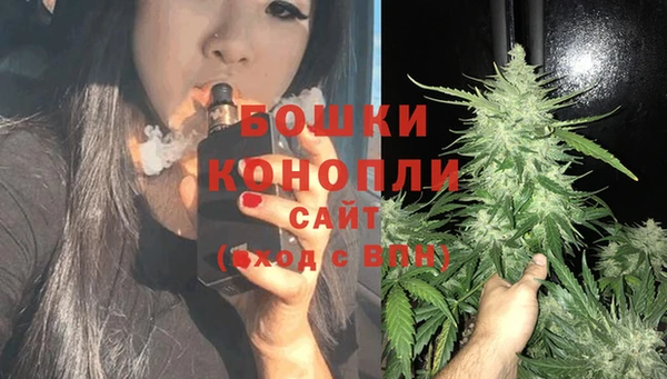 первитин Гусев