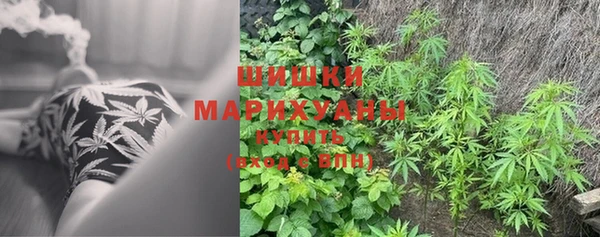амф Абдулино