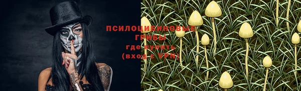 амф Абдулино