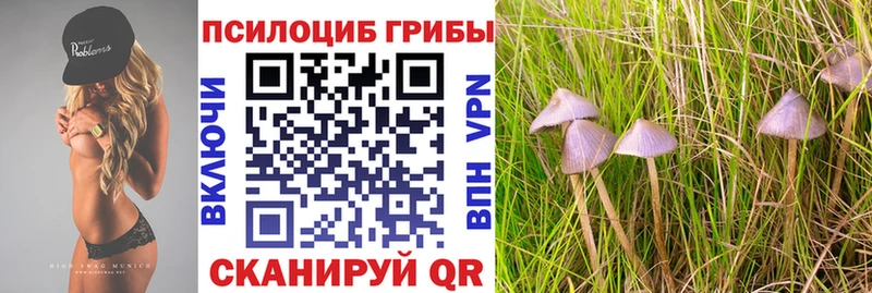 Галлюциногенные грибы Magic Shrooms  Богородск 