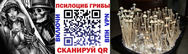 Галлюциногенные грибы мухоморы Богородск